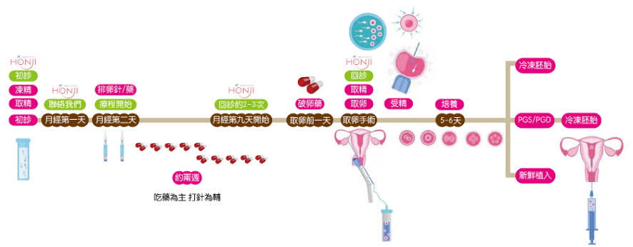 全球试管婴儿技术创新，引领生育健康新潮流