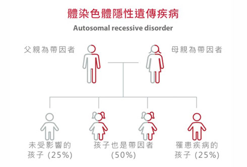 體染色體隱性遺傳疾病.jpg